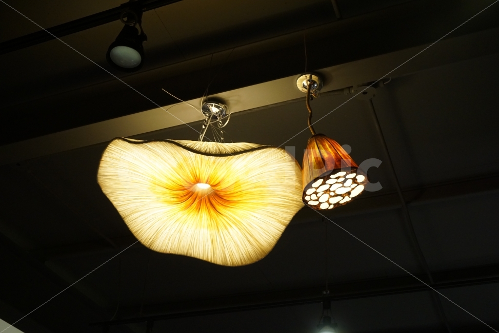 등,빛,연꽃등,불빛,불,감성사진,화려한불빛,인테리어,실내디자인,interior design