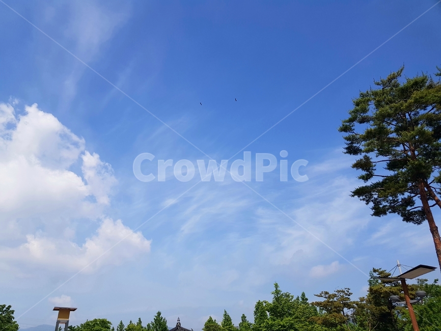 nature,자연,옥외,outdoors,weather
