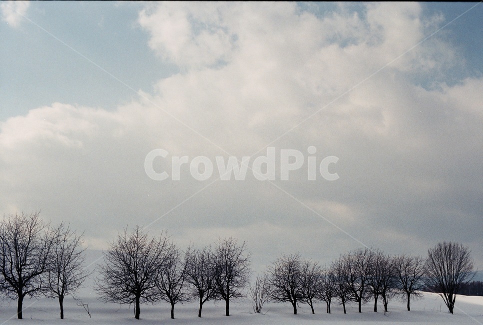 비에이,삿포로,설원,눈,눈밭,맑은하늘,겨울,자연,구름,겨울,계절,winter,season,자연,풍경,nature,landscape,outdoors,옥외,weather,날씨,storm,폭풍,snow,blizzard,눈보라