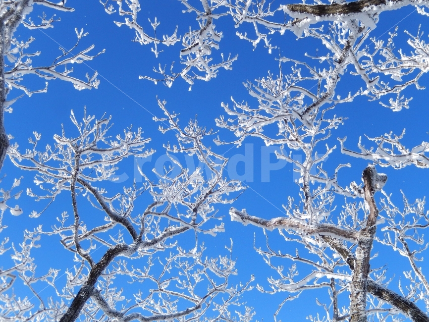 민주지산,눈꽃풍경,상고대,겨울풍경,겨울동화,눈풍경,파란하늘,100대명산,겨울명산,설경,서리꽃,영동,자연,풍경,nature,landscape,겨울,계절,winter,season,outdoors,옥외,snow,눈