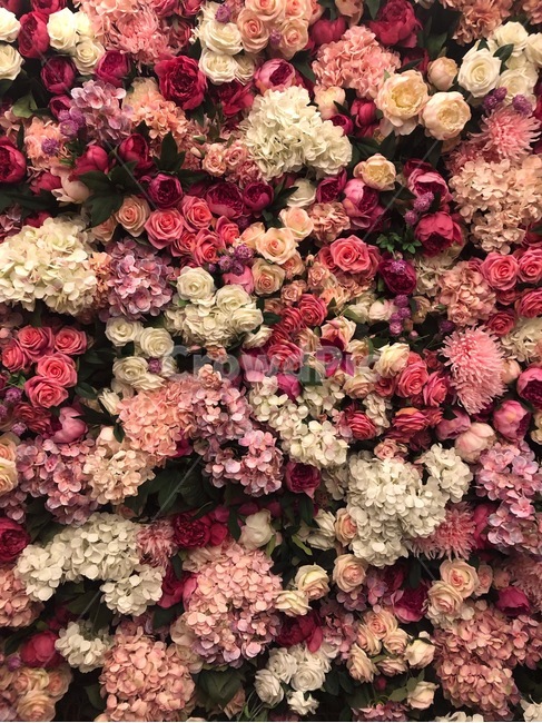 꽃,꽃벽화,꽃배경,화려한,flower,flowerwall