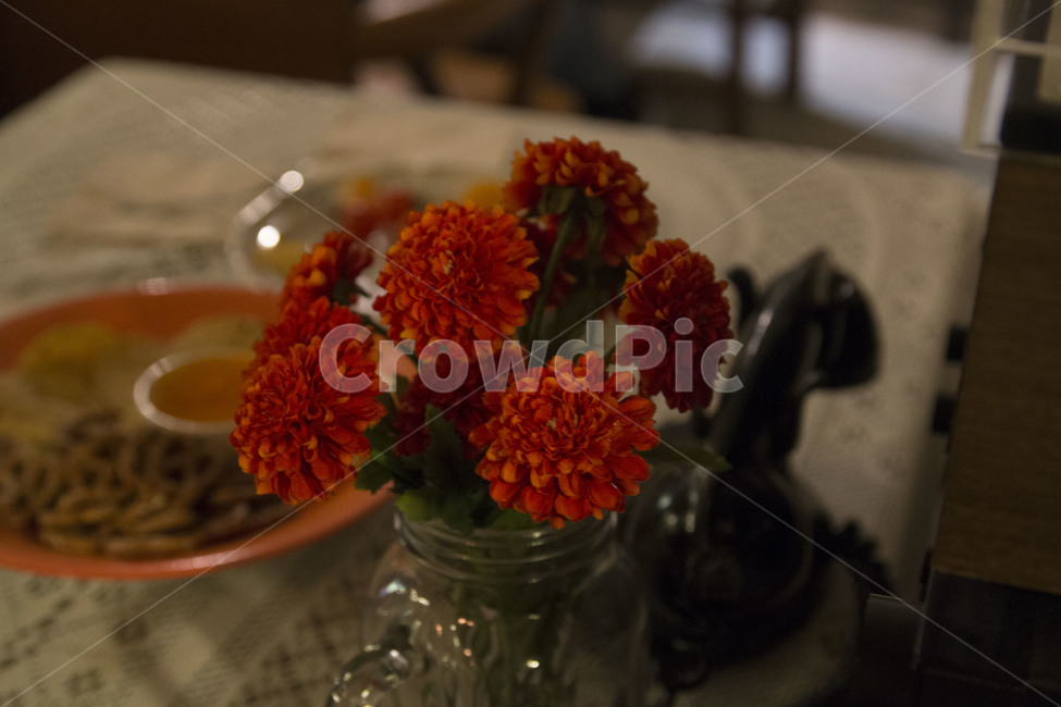 꽃,빨간,빨간색,flower,red,국화,백일홍,꽃병,카페,감성사진