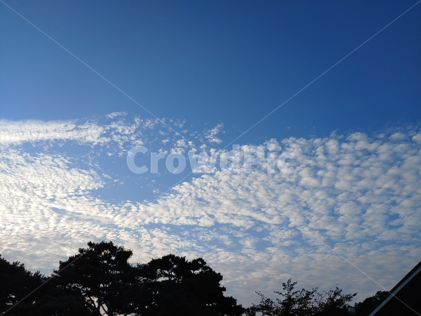 nature,자연,outdoors,옥외,sky,하늘,구름,하트구름