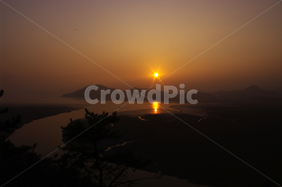 순천만,일몰,석양,노을,풍경,갈대밭,자연,풍경,nature,landscape,한국자연풍경,한국자연경관,korea nature landscape,flare,플레어,light,빛,sunlight,햇빛,outdoors,옥외,red sky,붉은 하늘,sky,하늘,dawn,새벽,sunset,dusk,황혼