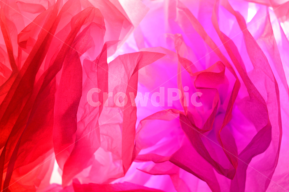 종이,플라워,flower,색상,색감,채도,그라데이션,겹치다,레이어,layer,환상적인,감성,필,느낌,분위기,feeling,emotion,배경,바탕,백그라운드,텍스쳐,패턴,장식,데코레이션,화이트,하얀색,밝음,명암,대비,무늬,어둠,background,night,cafe,컨셉,콘셉,concept,gradation,한국적,오리엔탈,환상적,패션,decoration,paper,종이꽃,flowerslight,조명,빛,빨강색,레드,핑크,분홍,색깔,색상,색채,색감,color sense,color sensitivity,feeling of color