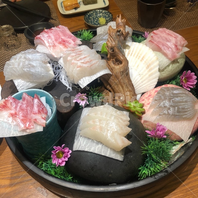 음식,회,회코스,회식,일식,코스요리