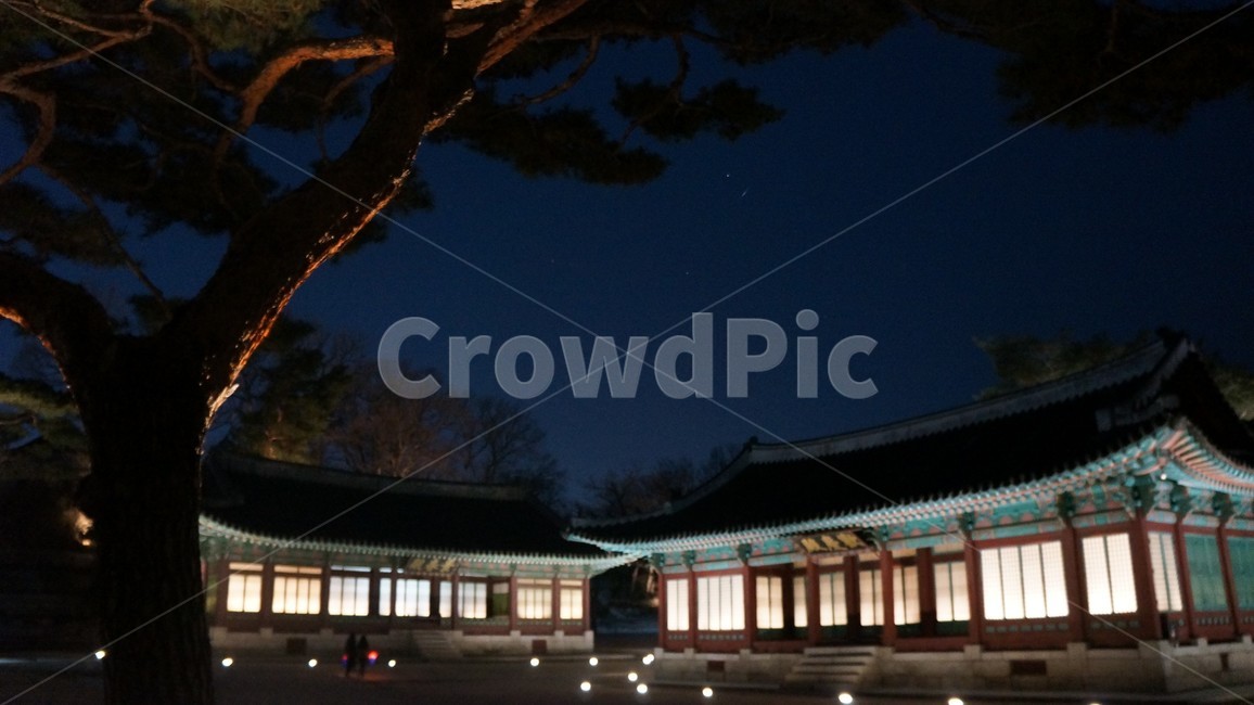 창경궁,고궁,경복궁,야간개장,궁,야경,밤,풍경,nightscape,night,landscape,랜드마크,landmark,tourist attraction,한국랜드마크,한국관광지,한국명소,korea landmark,korea tourist attraction,architecture,건축물,building,건물,worship,예배,shrine,신사