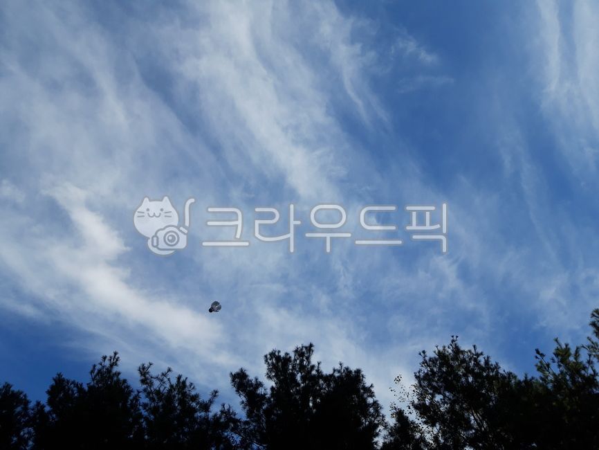 sky,sunny day,cloud,clear sky,white clouds,tree,clouds,leaf