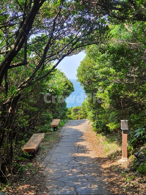 제주도,한반도,한반도지도,대한민국,바다,한국,지도,나무,숲,해안도로,올레길,올레길5