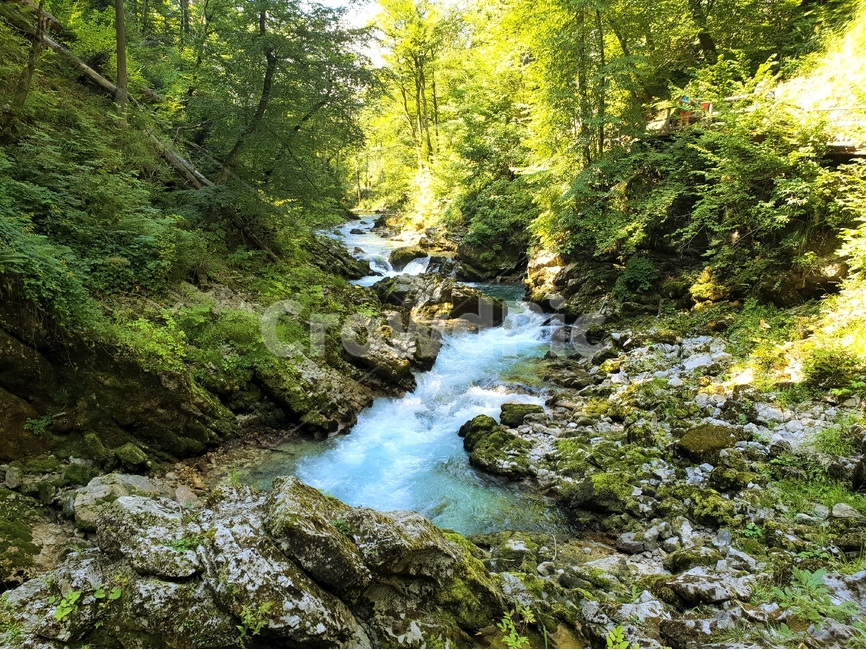 협곡,계곡,여름,슬로베니아,빈트가르,vintgar,gorge,valley,빈트가르협곡,계곡물,자연,풍경,동유럽,물,경관,더위,숲,나무,자연,풍경,nature,landscape,해외,외국,세계,foreign,oversea,world,세계자연풍경,해외자연풍경,외국자연풍경,world nature landscape,water,outdoors,옥외,creek,작은 만,stream,흐름