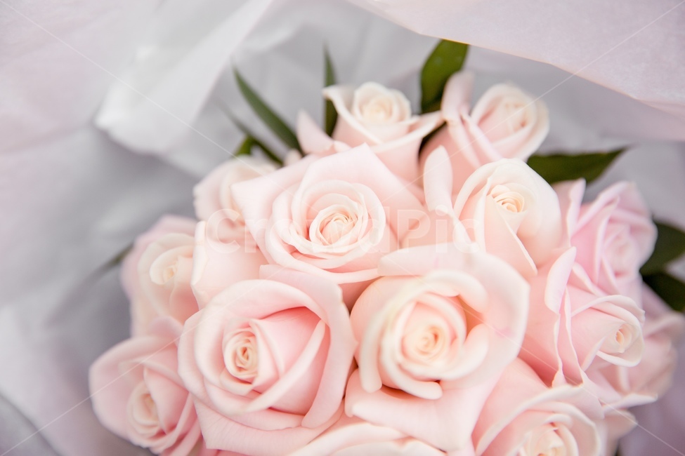 결혼,웨딩,결혼식,부케,꽃,장미,장미꽃,꽃부케,꽃,flower,기념일,축하,anniversary,congratulation,celebrate,celebration