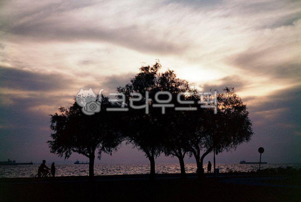 터키,이스탄불,갈라타다리,해질녘,일몰,노을,갈매기,새,동물,자연,실루엣,휴가,바다,필름,아날로그,빈티지,감성,필름감성