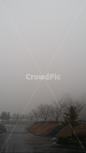 안개,풍경,비온뒤풍경,날씨,흐린날씨,새벽,새벽감성,감성