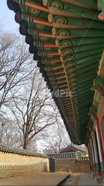 changdeokgung,창덕궁,궁나들이,palace,처마,고궁,돌담길