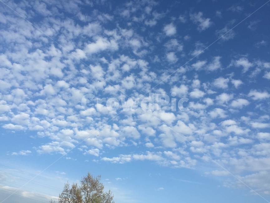 봄,하늘,맑은하늘,시골배경,농촌배경,파란하늘,자연,풍경,nature,landscape,outdoors,옥외,sky,cloud,구름,weather,날씨,cumulus,적운