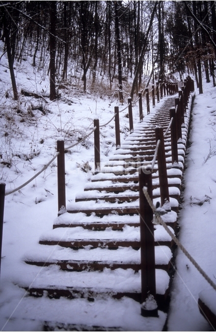 계단,등산로,겨울,눈,풍경,stairs,snow,scenery,겨울,계절,winter,season,자연,풍경,nature,landscape,outdoors,옥외
