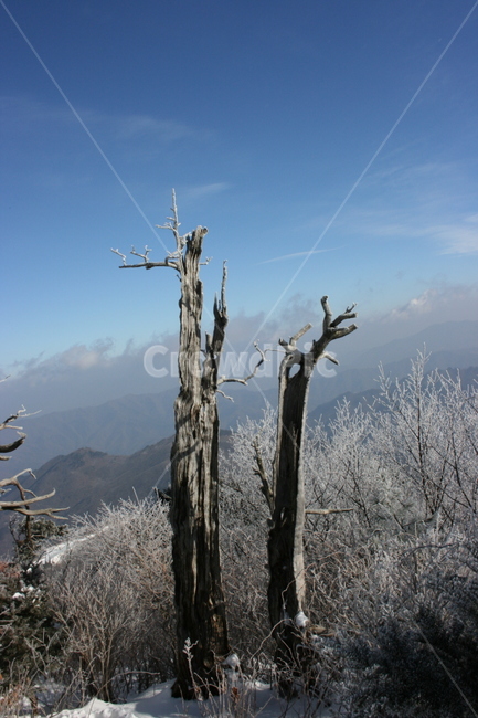 설산,풍경,나무,등산,자연