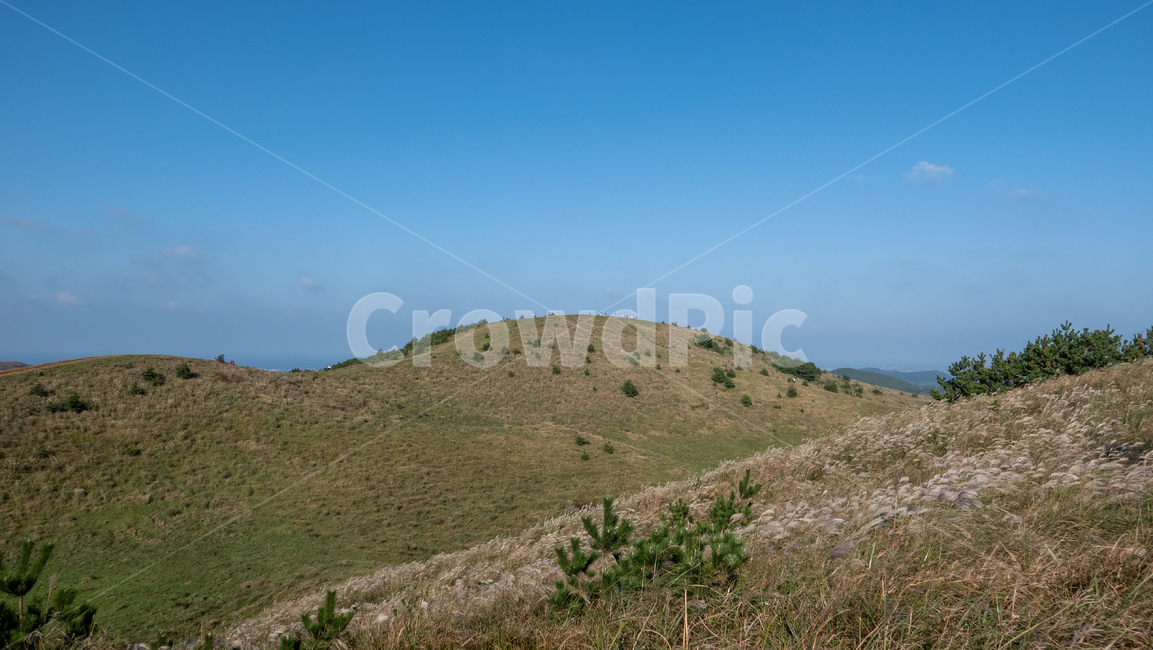 용눈이,용눈이오름,오름,orum,jeju,제주,제주도,제주오름,가을제주,가을,풍경,landscape,nature,outdoors,자연,countryside,hill,언덕,slope,자연,풍경,nature,landscape