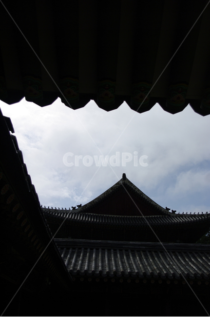 창덕궁,고궁,한옥,전통가옥,기와지붕,건축,traditional,한국전통,한국문화,korean traditional,korean culture,건축물,건물외관,exterior,building,structure,architecture,construction