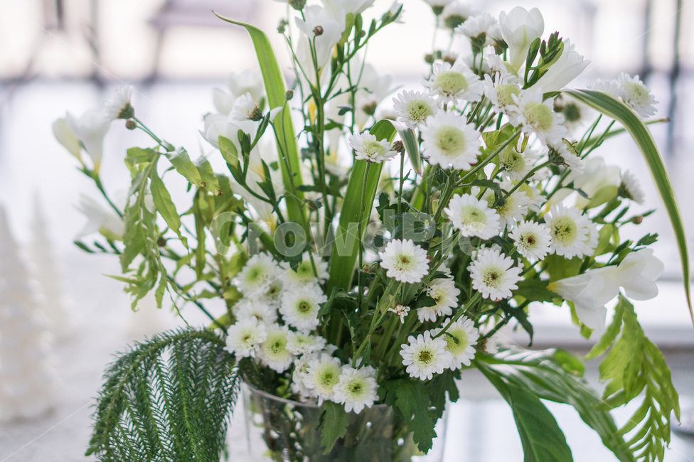 꽃,식물,꽃다발,꽃장식,화분,flower,blossom,plant