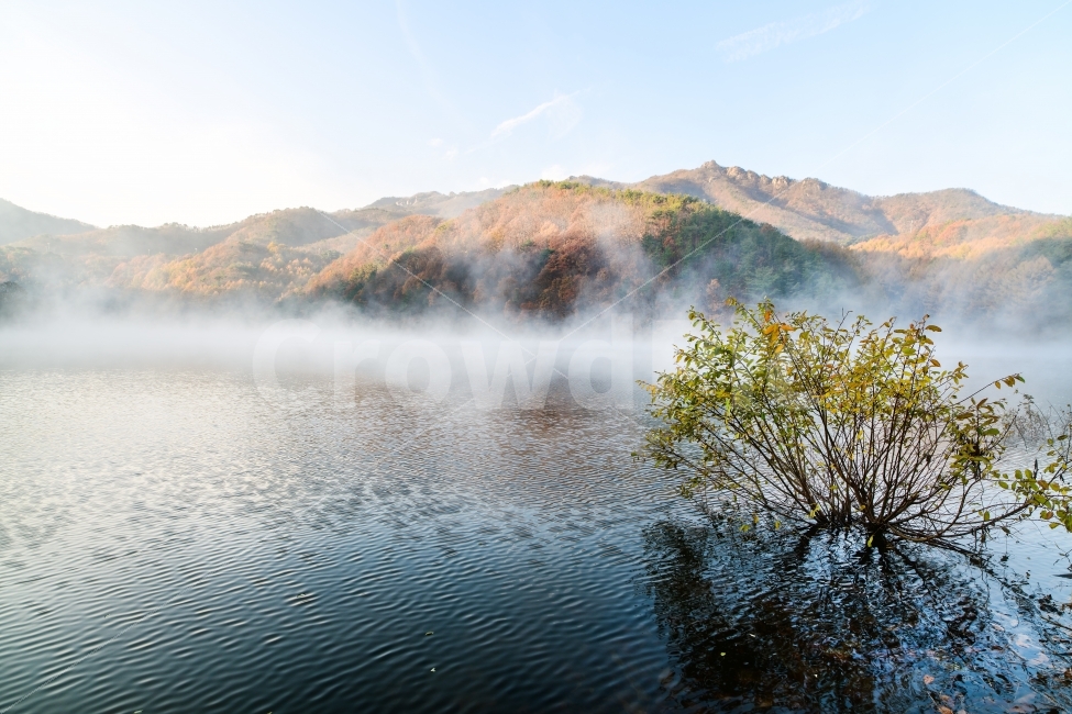풍경,물안개,가을,낙엽,단풍,아침일출,가을,계절,fall,autumn,season,자연,풍경,nature,landscape,한국자연풍경,한국자연경관,korea nature landscape,outdoors,옥외,weather,날씨,water,물
