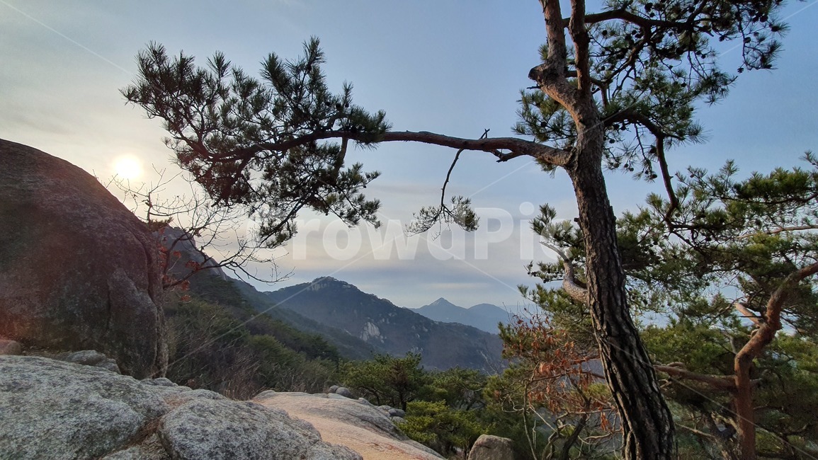 산,mountain,nature,자연,outdoors,옥외,countryside,한지방,hill,언덕,tree,나무,plant,식물,treetrunk,나무줄기,경치,전경,landscape