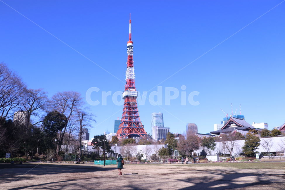 일본,도쿄,도쿄타워,tokyo,tokyotower