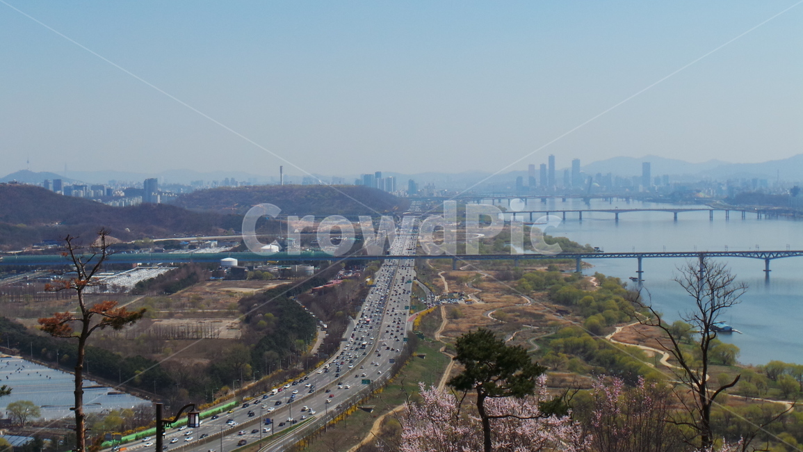 자동차,도로,교통,다리,차,도로교통,view