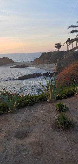 danapoint,california,island,섬,야자수,바다,beach,모래사장