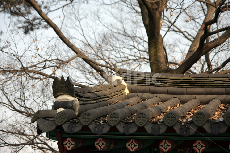 전주,한옥,한옥마을,풍경,전통,한국,한국전통,한국문화,korean traditional,korean culture,건축물,건물외관,exterior,building,structure,architecture,construction