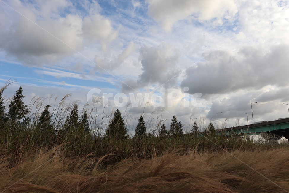 nature,자연,weather,날씨,outdoors,옥외,sky,하늘,cloud,구름