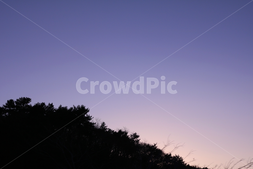 풍경,산,숳,하늘,겨울,바람,오후,자연,풍경,nature,landscape,실루엣,그림자,silhouette,shadow,outdoors,옥외