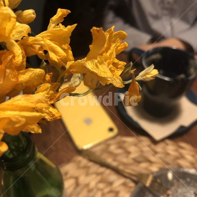 꽃,노란색,노랑,yellow,배경화면,카페