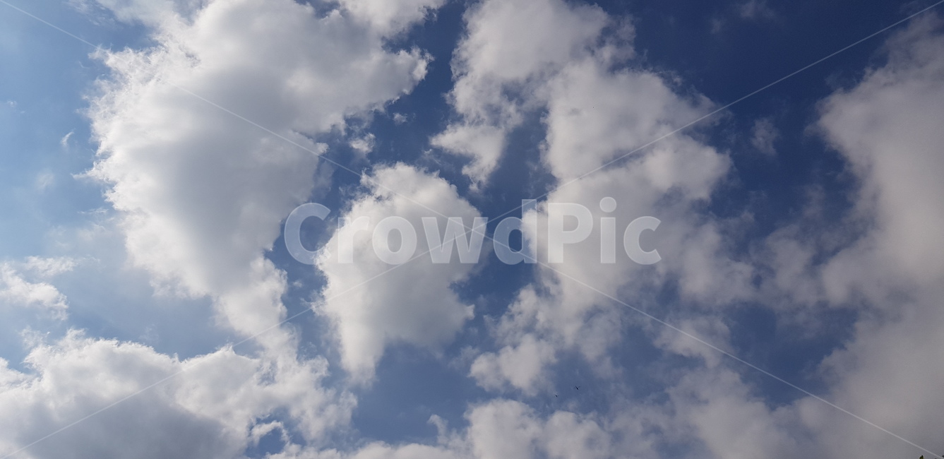 구름,파란하늘,하얀구름,뭉게구름,특이한구름,파란,하얀,special,cloud,sky,bluesky