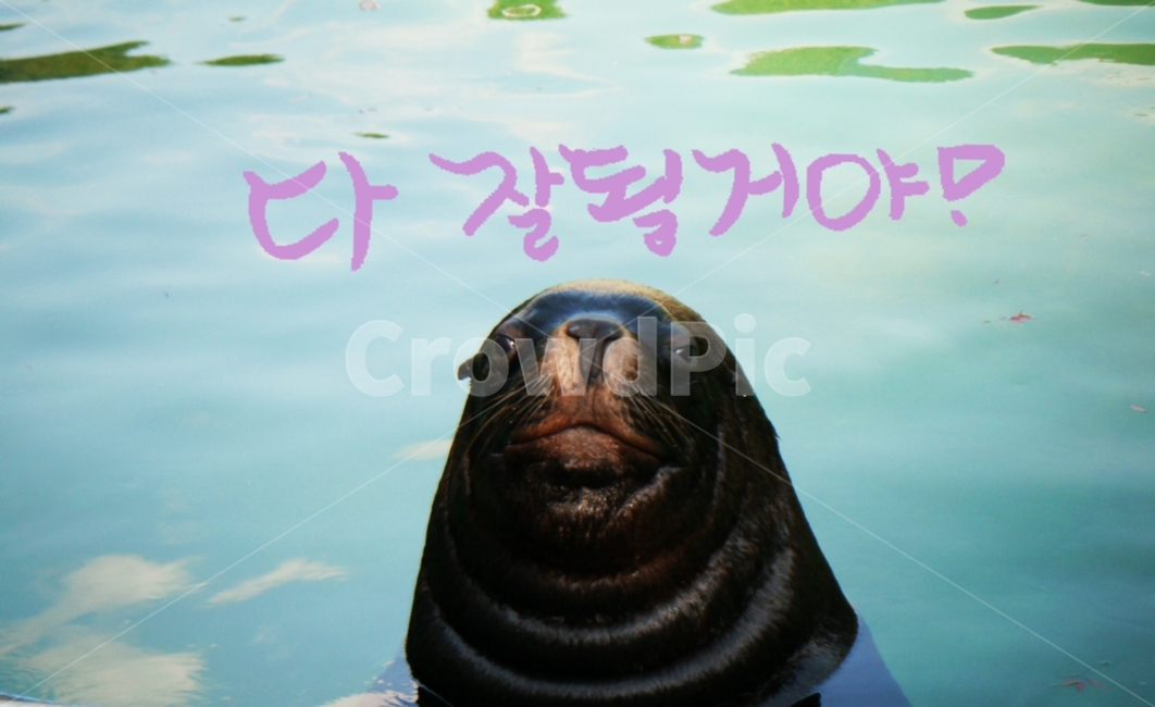 캘리그라피,희망,소망,격려,손글씨,동물,animal,포유류,mammal,캘리그라피,손글씨,calligraphy