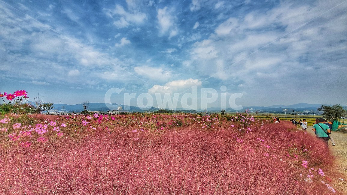 인간,nature,자연,person,사람,human