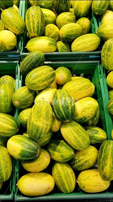 채소,호박,애호박,초록,과일,음식,식재료,요리,food,cook,meal,dishes,food reserves,채소,야채,vegetables