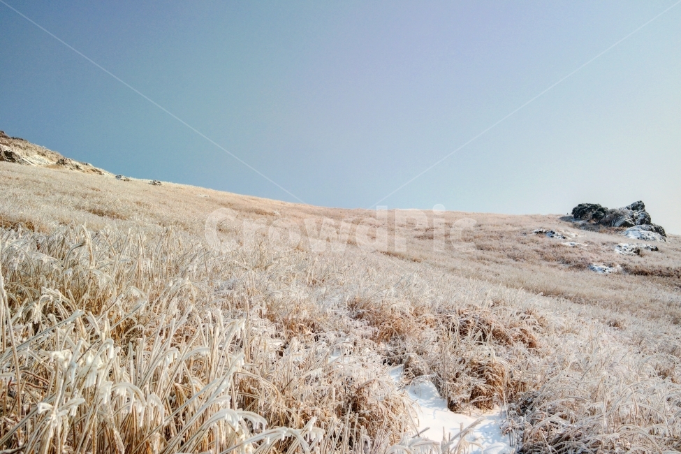 울산,간월재,영남알프스,억새평원,여행,자연,풍경,nature,landscape,한국자연풍경,한국자연경관,korea nature landscape