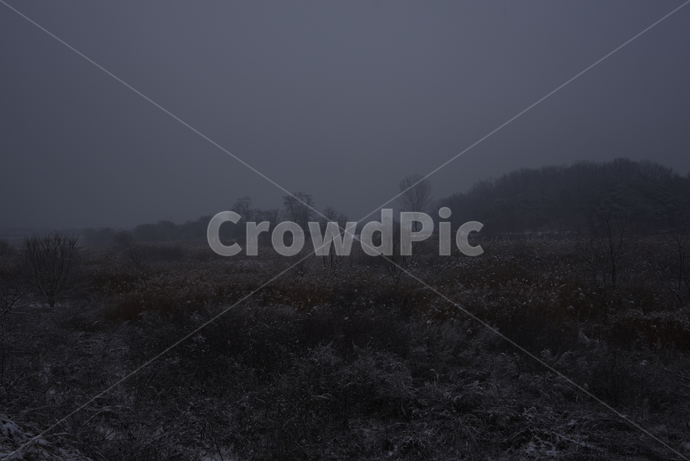 nature,자연,안개,들,겨울,눈,snow,winter,풍경,겨울,계절,winter,season
