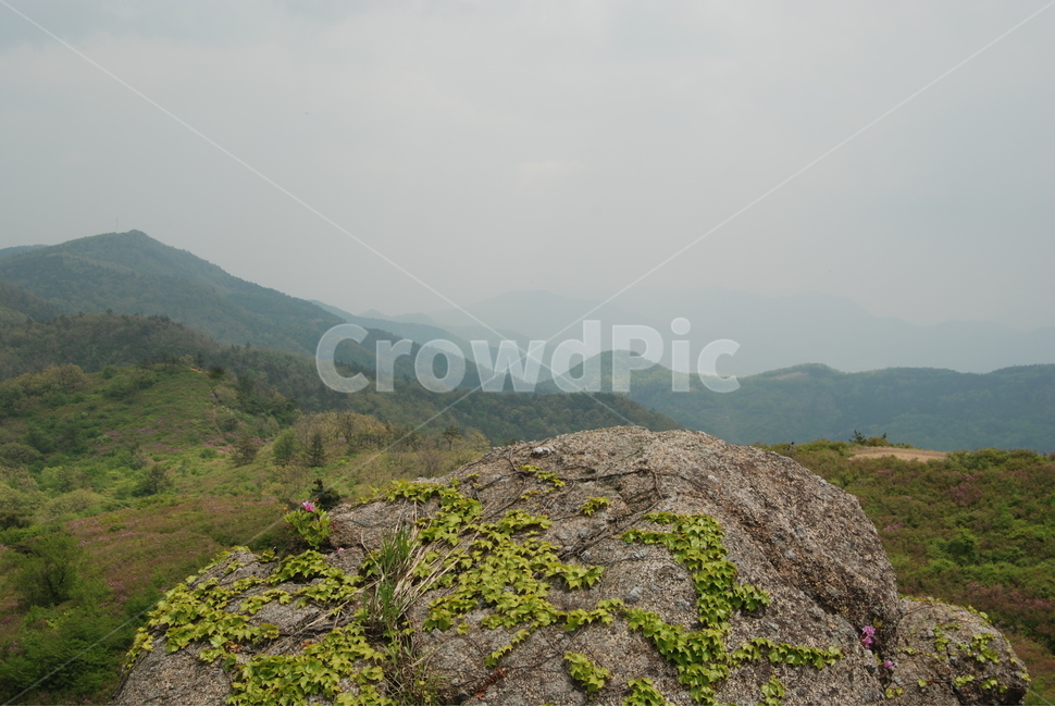 초암산,보성군,봄,자연,바위,자연,풍경,nature,landscape,한국자연풍경,한국자연경관,korea nature landscape,outdoors,옥외,hill,언덕,slope,경사
