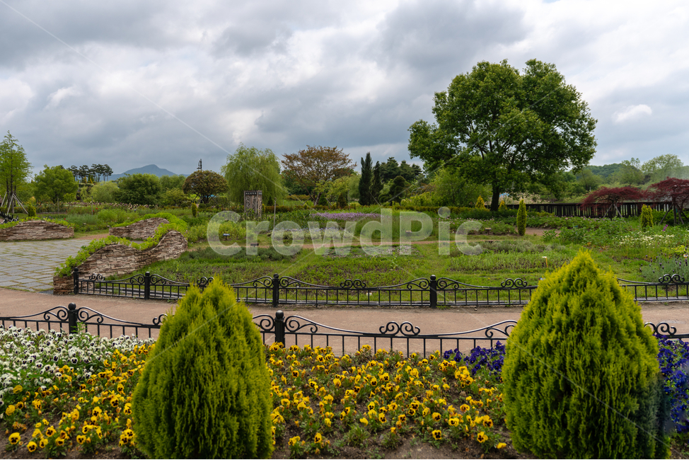구름,공원,하늘,나무,산책로,자연,풍경,nature,landscape,한국자연풍경,한국자연경관,korea nature landscape,outdoors,옥외,plant,식물,tree