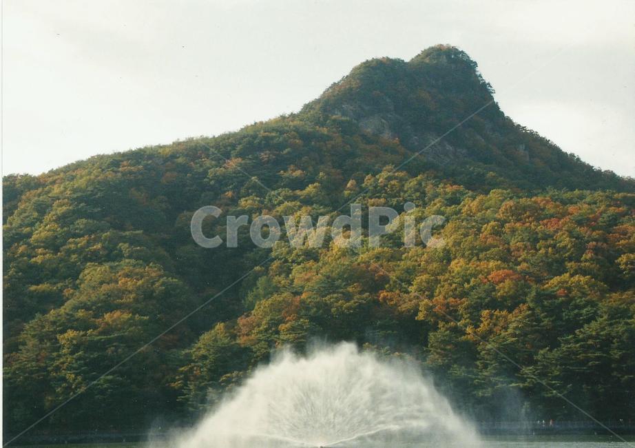 자연풍경,분수,가을,한국자연풍경,한국자연경관,감성,식물,필름사진,물,단풍,가을,계절,fall,autumn,season,자연,풍경,nature,landscape,water,outdoors,옥외