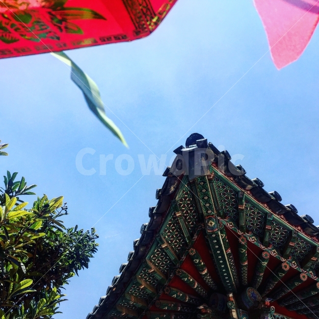 절,한국의미,사진,하늘,나무,한국,아름다움,건축물,건물외관,exterior,building,structure,architecture,construction,한국전통,한국문화,korean traditional,korean culture,종교,신앙,religion,belief,faith