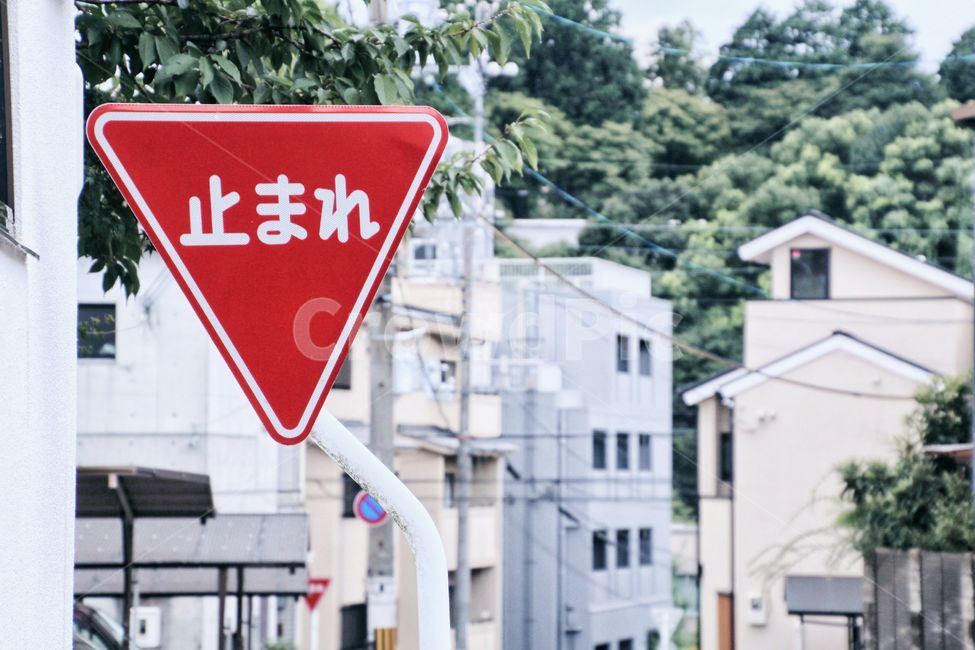 background,landscape,scenery,배경,풍경,sign,표지판,일본,japan,정지,stop,street,길,거리,도로,road