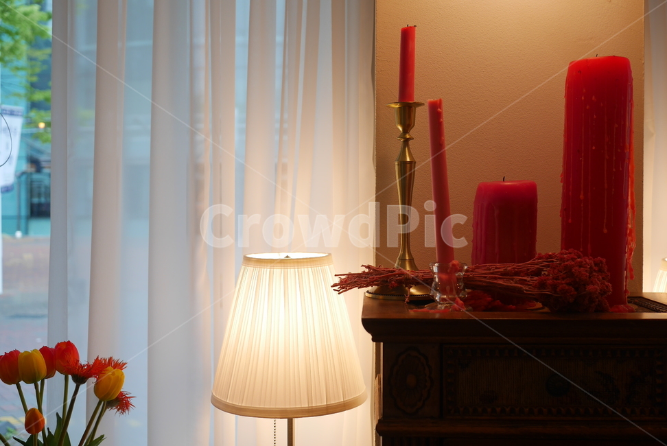 꽃,튤립,조명,인테리어,봄꽃,인테리어,실내디자인,interior design