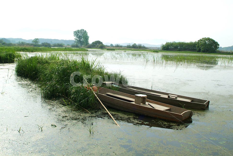 자연,강,배,우포,풀,자연,풍경,nature,landscape,transportation,교통,canoe,카누,vehicle,차량,boat,보트,rowboat,노 젓는 배,water,물,watercraft,선박