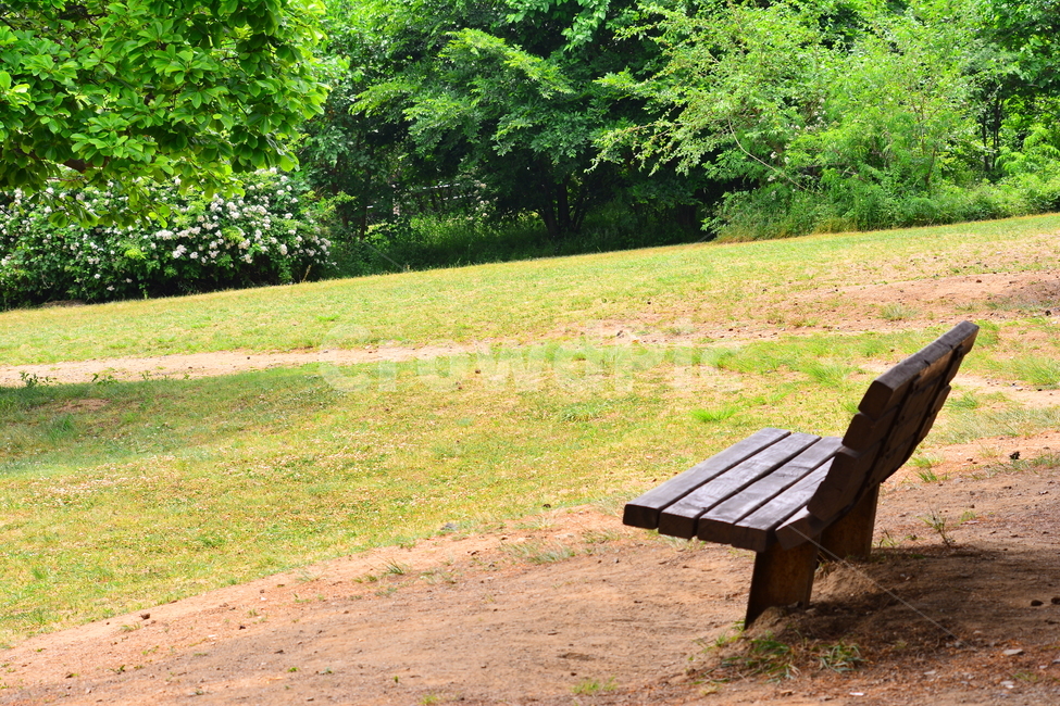 벤치,의자,나무의자,쉼터,휴식,빈자리,relaxation,rest,쉼,쉬어가는곳,힐링,여유,명상,산책,bench,leisure,sit,chair,풍경,앉다,자리,편안한,healing,휴식,힐링,rest,relaxation,healing