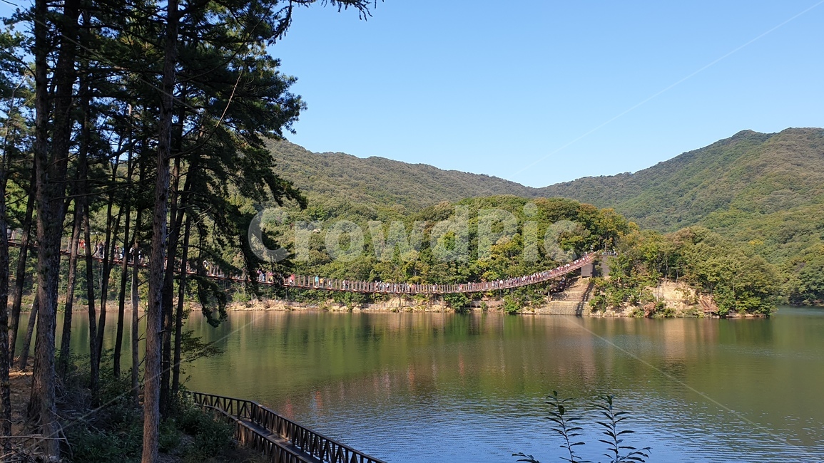 파주,마장호수,출렁다리,흔들다리,호수,둘레길,nature,outdoors,water,lake