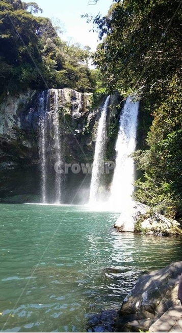 폭포,자연,waterfall,천지연폭포,제주도,랜드마크,landmark