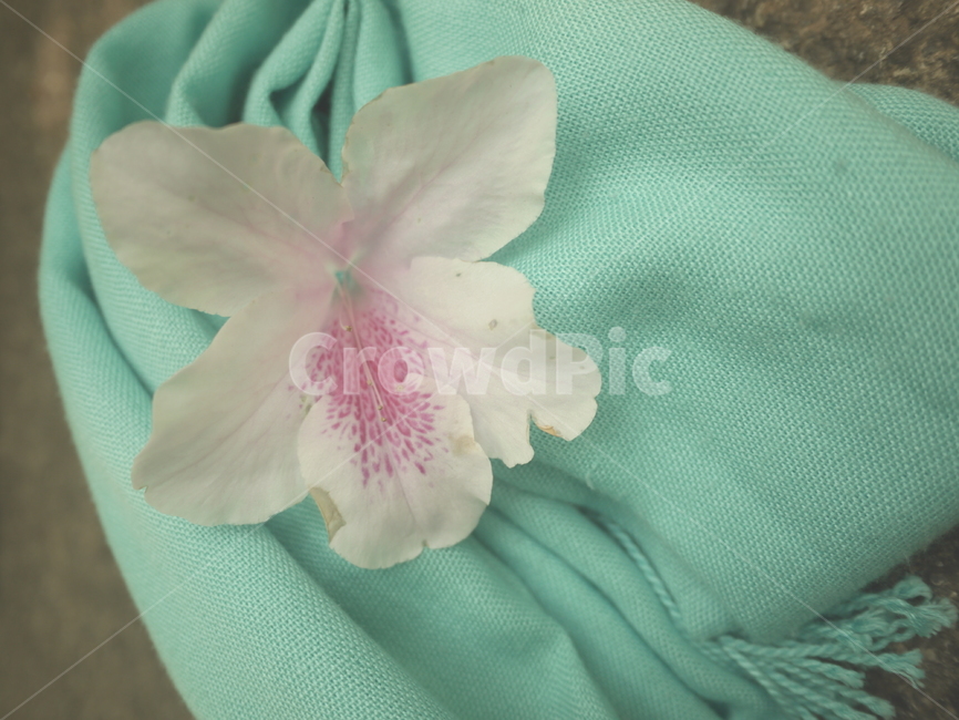 꽃,머플러,스카프,flowers,감성사진
